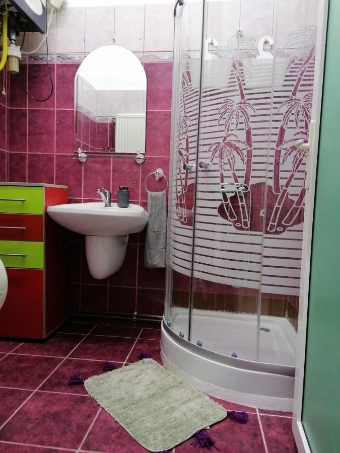 Apartament Josefin Apartment Timisoara Exterior photo